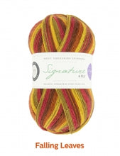 Load image into Gallery viewer, Sock yarn - WYS Signature 4ply Seasons 100g