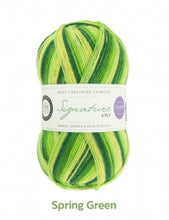 Load image into Gallery viewer, Sock yarn - WYS Signature 4ply Seasons 100g