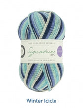 Load image into Gallery viewer, Sock yarn - WYS Signature 4ply Seasons 100g