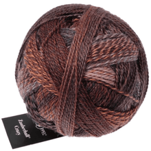 Load image into Gallery viewer, A ball of sock yarn Schoppel Zauberball Crazy 2544 Late Autumn Inspiration