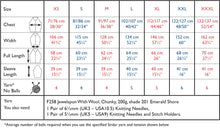Load image into Gallery viewer, Sirdar 10800 Jewelspun Chunky Fishermans Rib Sweater Knitting Pattern [Digital Download]
