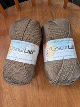 Load image into Gallery viewer, West Yorkshire Spinners Colourlab DK - great for winter knits