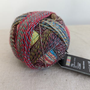 Sock yarn - Schoppel-Wolle Zauberball Crazy 100g