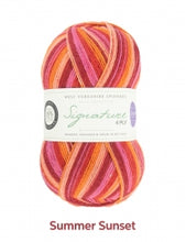 Load image into Gallery viewer, Sock yarn - WYS Signature 4ply Seasons 100g