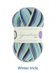 Sock yarn - WYS Signature 4ply Seasons 100g